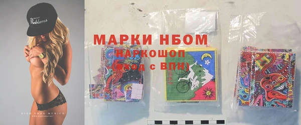 трава Аркадак