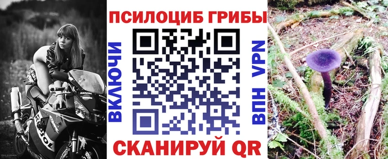 Псилоцибиновые грибы Cubensis  Шадринск 