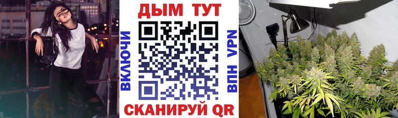 Конопля марихуана  где можно купить   Шадринск 